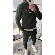 71500-6 * чоловічий спортивний костюм колір хакі (турецька тринитка, фліс, 5 од. розміри напівбатал: 48-56) видача наступного дня