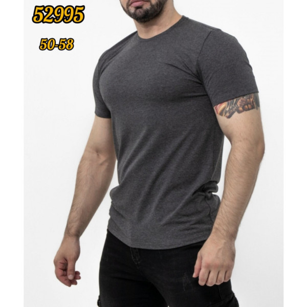 52995# выбор цвета мужская футболка (Турецкий хлопок, 5 ед, размеры батал: 50-52-54-56-58) выдача на следующий день Футболка