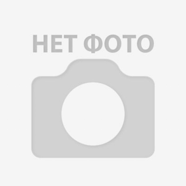 0257 # серые женские джинсовые шорты (Lady N, стрейч коттон, 6 ед, размеры батал: 32-42) выдача на следующий день Lady N