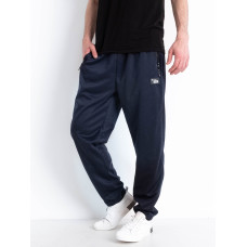 0101-2* сині чоловічі весняні спортивні штани (AOLONG, стрейчові, 10 од. розміри на бирках: XL-5XL, відповідають нормі: M-3XL, дублюються) видача наступного дня