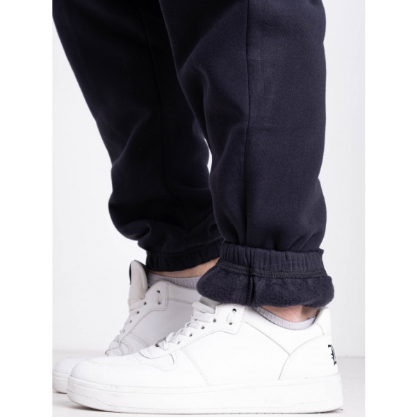 9997-2 сині чоловічі спортивні штани (AOLONG. технітка на флісі, не кашлатиться, 5 од., розміри норма: XL. 2XL. 3XL. 4XL. 5XL)