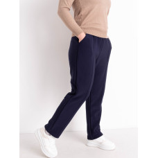 2068-2* сині жіночі спортивні штани (не шкутильгають, фліс, 10 од. розміри на бірках: 2XL-6XL, відповідають напівбаталу: L-4XL, дублюються) видача наступного дня