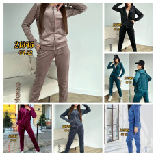 21345 # вибір кольору велюровий жіночий спортивний костюм (5 од., розміри норма: 44-52) видача наступного дня