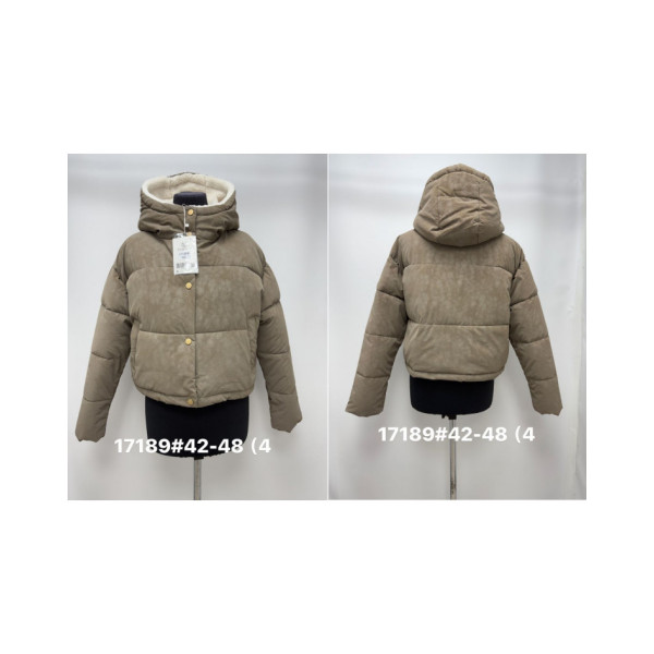 17189* вибір кольору жіноча куртка на синтепоні (4 од., розміри норма: 42-48) видача наступного дня