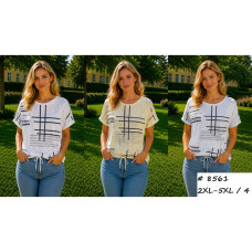 8561 # выбор цвета женская футболка (трикотаж, 4 ед, размеры батал: 2XL-5XL) выдача на следующий день Футболка