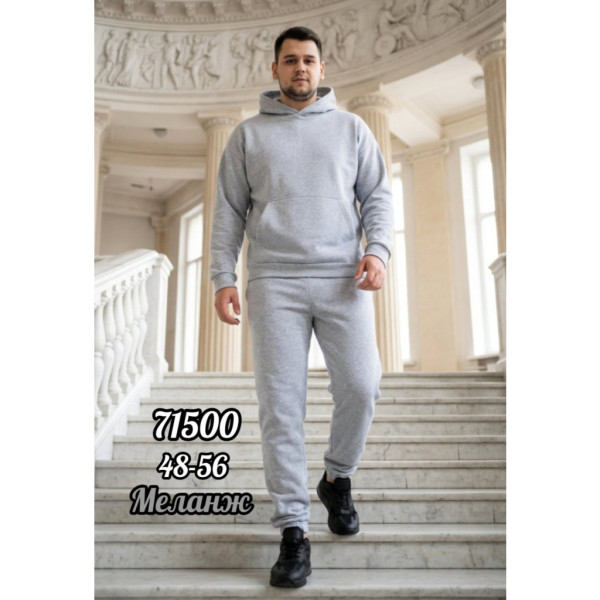 Чоловічий спортивний костюм (1164449)