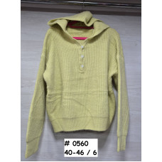 0560* мікс кольорів жіночий светр з капюшоном (6 од., розміри норма: 40-46) видача наступного дня