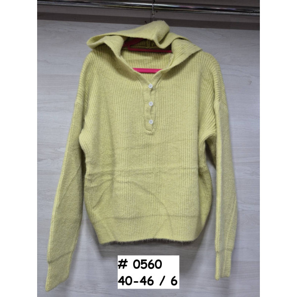 0560* мікс кольорів жіночий светр з капюшоном (6 од., розміри норма: 40-46) видача наступного дня