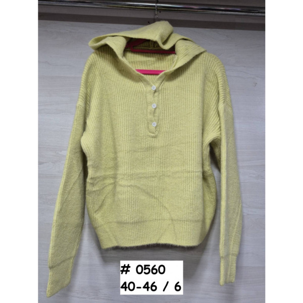 0560* мікс кольорів жіночий светр з капюшоном (6 од., розміри норма: 40-46) видача наступного дня