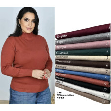 0718 * мікс кольорів жіночий кашеміровий гольф (6 од., розміри напівбатал: 48-54) видача наступного дня