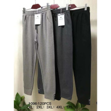 1096# выбор цвета женские спортивные штаны (двунитка, 5 ед, размеры полубатал: XL-5XL) выдача на следующий день Спортивные штаны