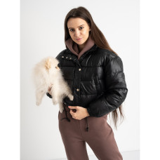 2806-15 / черная женская куртка (на синтепоне, из экокожи, 5ед. размеры полубатал:XL. XL. XL. 2XL. 2XL) Куртка