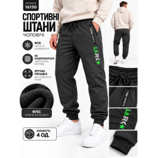 16130-63 Чоловічі спортивні штани сірі 