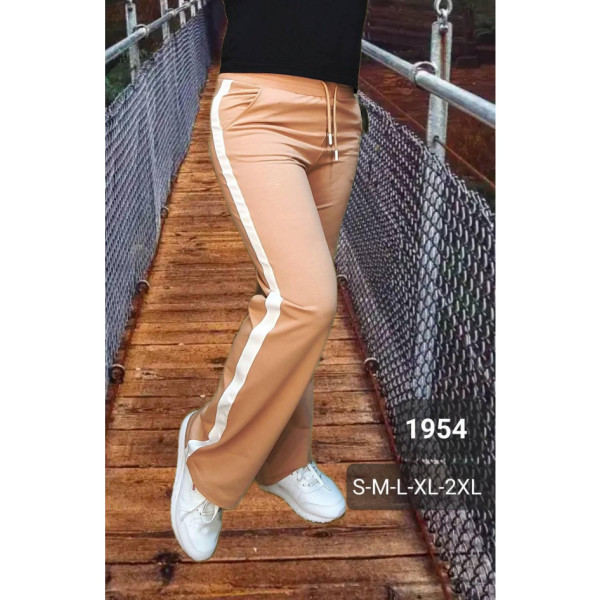 1954-3 * бежевые женские спортивные штаны (турецкая двунитка, 5 ед. размеры норма: S. M. L. XL. 2XL) выдача на следующий день