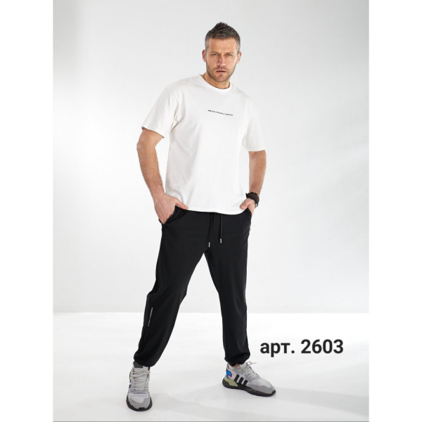 2603# черные мужские спортивные штаны (нейлон, 6 ед, размеры полубатал: L-4XL) выдача на следующий день