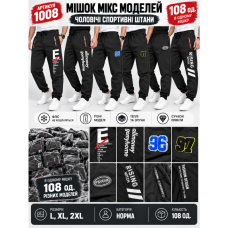 1008 Спортивні штани (1165764)