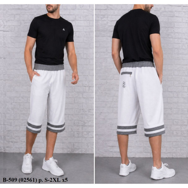 1144-99 # выбор цвета мужские бриджи (трикотаж, 5 ед, размеры норма: S-XL) выдача на следующий день Бриджи