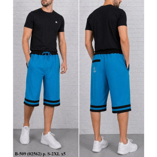 1144-99 # выбор цвета мужские бриджи (трикотаж, 5 ед, размеры норма: S-XL) выдача на следующий день Бриджи