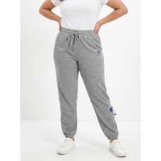 0020-6 светло-серые женские спортивные штаны (лакоста, манжет, с карманами, 4 ед, размеры полубатал: XL/2XL. 3XL/4X. 4XL/5XL. 5XL/6XL) Спортивные штаны