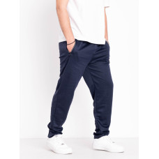 0107-2 сині чоловічі спортивні штани (AOLONG, двонитка, 5 од. розміри на бирках: XL-5XL, відповідають нормі: M-3XL)