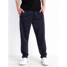 0610-2 сині чоловічі весняні спортивні штани (AOLONG, стрейчові, 5 од. розміри на бирках: XL-5XL, відповідають нормі: M-3XL, дублюються)