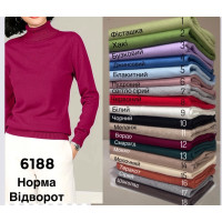 6188 * мікс кольорів жіночий кашеміровий гольф (6 од., розміри норма: 42-48) видача наступного дня