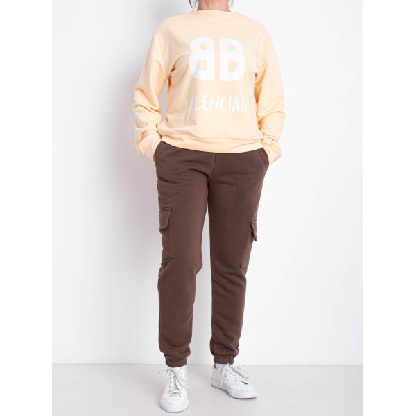 9997-9 коричневые женские спортивные брюки (AOLONG. технитка на флисе, не кашлатится, 5 ед, размеры полубатал: XL. 2XL. 3XL. 4XL. 5XL)
