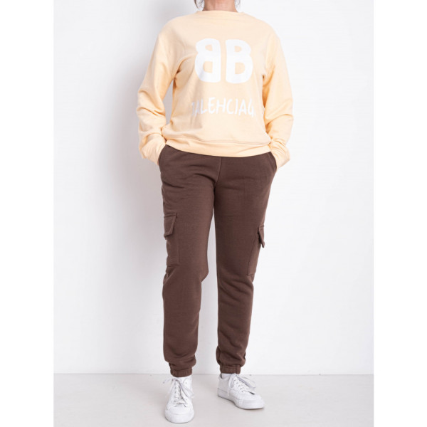 9997-9 коричневые женские спортивные брюки (AOLONG. технитка на флисе, не кашлатится, 5 ед, размеры полубатал: XL. 2XL. 3XL. 4XL. 5XL)