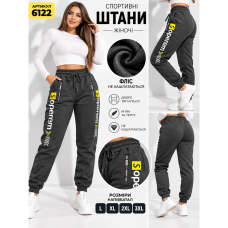 6122-6 Жіночі спортивні штани сірі (1165842)