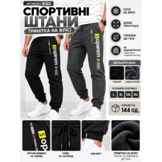 6122 Спортивні штани (1165762)