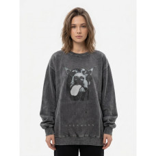 0666-6 серый женский свитшот (двухнитка, принт, 1 ед, универсальный размер норма : S/L) Свитшот