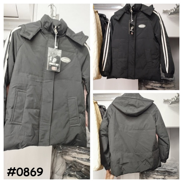 0869# выбор цвета мужская весенняя куртка (4 ед, размеры норма: S-XL) выдача на следующий день