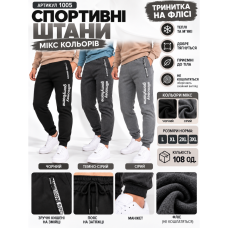 1005 Спортивні штани (1165763)