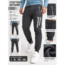1005-6 Чоловічі спортивні штани сірі (1139993)