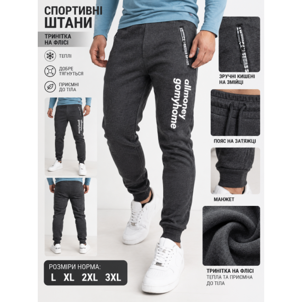 1005-6 Чоловічі спортивні штани сірі (1139993)