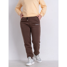 9996-9 коричневі жіночі спортивні штани (AOLONG. технітка на флісі, не кашлатиться, 5 од., розміри напівбатал: XL. 2XL. 3XL. 4XL. 5XL)