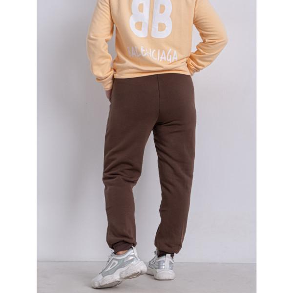 9996-9 коричневые женские спортивные брюки (AOLONG. технитка на флисе, не кашлатится, 5 ед, размеры полубатал: XL. 2XL. 3XL. 4XL. 5XL)