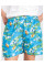 6620 голубые женские шорты (5 ед. размеры на бирке: XL. XL. 5XL. 5XL. 5XL, маломерят)
