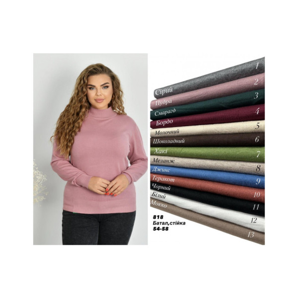 0818 * мікс кольорів жіночий кашеміровий гольф (6 од., розміри батал: 54-58) видача наступного дня