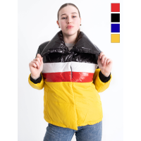 90070-99 чотири кольори жіноча куртка (синтепон, 4 од. розміри норма: M. L. XL. XL)
