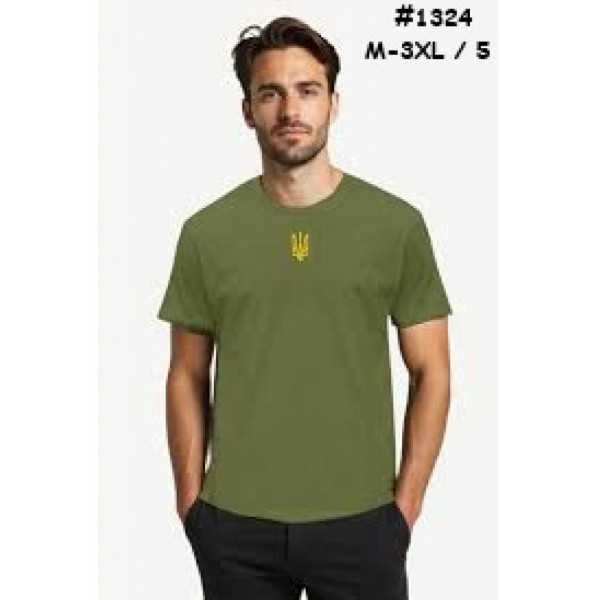 1324# выбор цвета мужская футболка (хлопок, 5 ед, размеры норма: M-3XL) выдача на следующий день Футболка