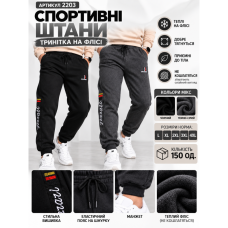 2203 Спортивні штани (1165765)
