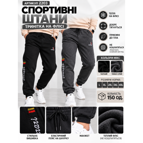 2203 Спортивні штани (1165765)