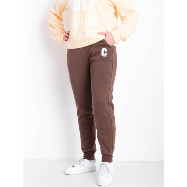 9995-9 коричневые женские спортивные брюки (AOLONG. технитка на флисе, не кашлатится, 5 ед, размеры полубатал: XL. 2XL. 3XL. 4XL. 5XL) Aolong
