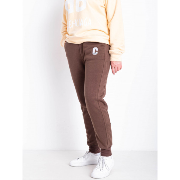 9995-9 коричневые женские спортивные брюки (AOLONG. технитка на флисе, не кашлатится, 5 ед, размеры полубатал: XL. 2XL. 3XL. 4XL. 5XL) Aolong
