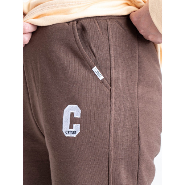 9995-9 коричневые женские спортивные брюки (AOLONG. технитка на флисе, не кашлатится, 5 ед, размеры полубатал: XL. 2XL. 3XL. 4XL. 5XL) Aolong