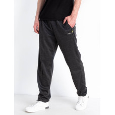 0103-6* сірі чоловічі весняні спортивні штани (AOLONG, стрейчові, 10 од. розміри на бирках: XL-5XL, відповідають нормі: M-3XL, дублюються) видача наступного дня