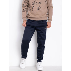 0102-2 сині чоловічі весняні спортивні штани (AOLONG, стрейчові, 5 од. розміри на бирках: XL-5XL, відповідають нормі: M-3XL, дублюються)