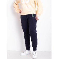 9995-2 сині жіночі спортивні штани (AOLONG. технітка на флісі, не кашлатиться, 5 од., розміри напівбатал: XL. 2XL. 3XL. 4XL. 5XL)