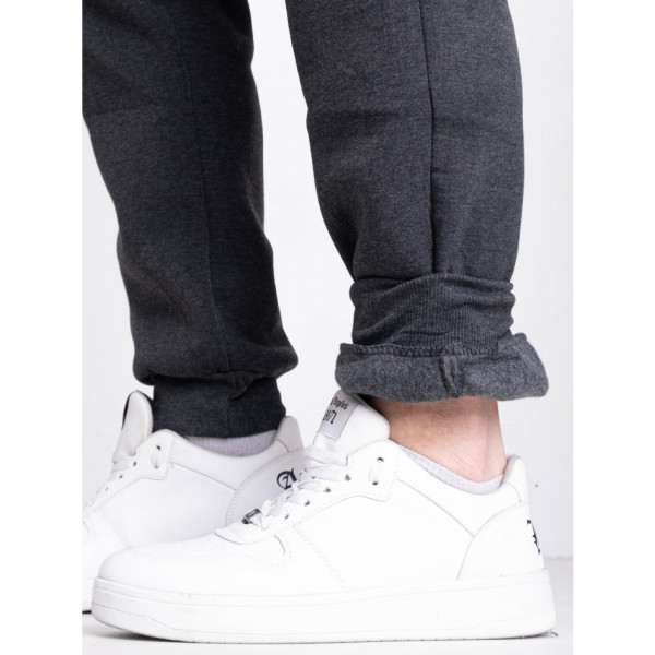 9996-6 сірі чоловічі спортивні штани (AOLONG. технітка на флісі, не кашлатиться, 5 од., розміри норма: XL. 2XL. 3XL. 4XL. 5XL)